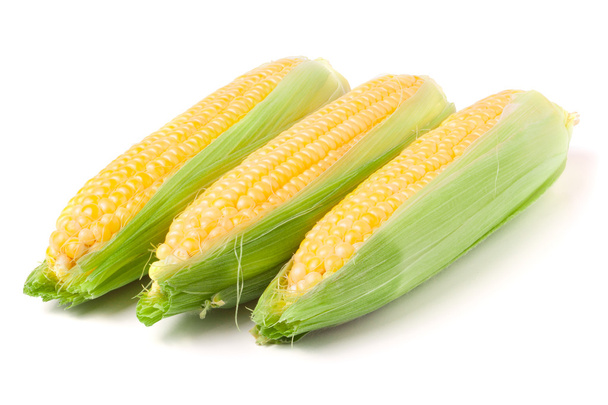 Three ear of corn with leaves isolated on white background - Photo, Image