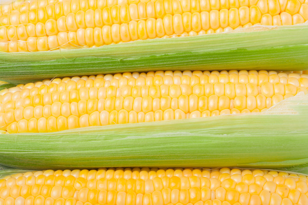 Tres mazorcas de maíz con hojas como fondo
 - Foto, Imagen