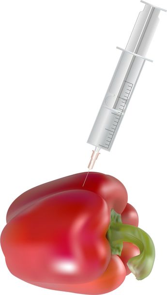 Pestizide - eine Spritze, die in eine rote Paprika klebt  - Vektor, Bild