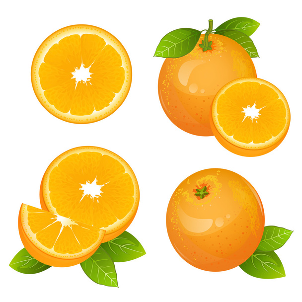 Vers oranje fruit delige set. Collectie van realistisch citrus vectorillustraties. Sappige oranje met verlaat geïsoleerde - Vector, afbeelding