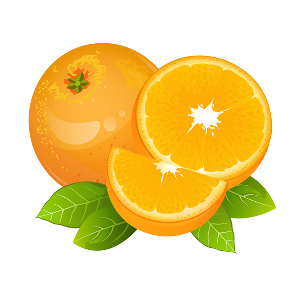 Orange slice fruit icon vector set. Realistic juicy orange with leaves isolated - Vector, Image