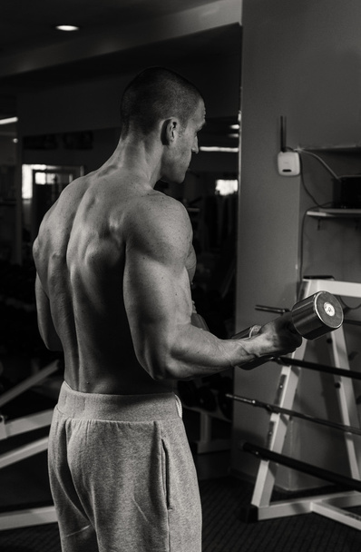 Male bodybuilder  whit dumbbell - Photo, Image