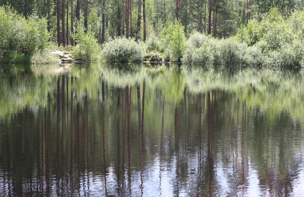 Reflection in the pond - Fotoğraf, Görsel