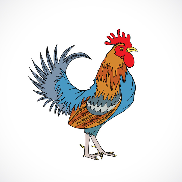 Rooster in color, hand drawing cock   - Vektör, Görsel