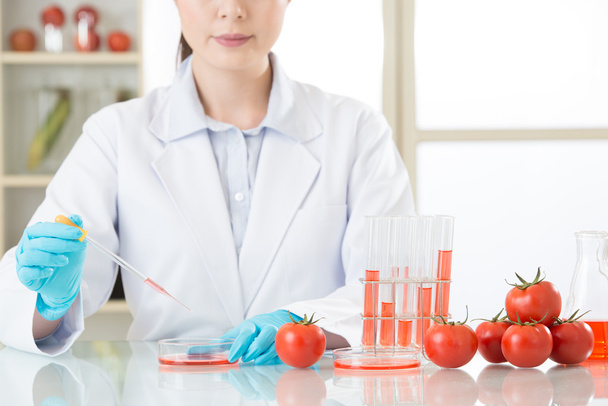 Asian female scientist doing tomato genetic modification researc - Foto, immagini