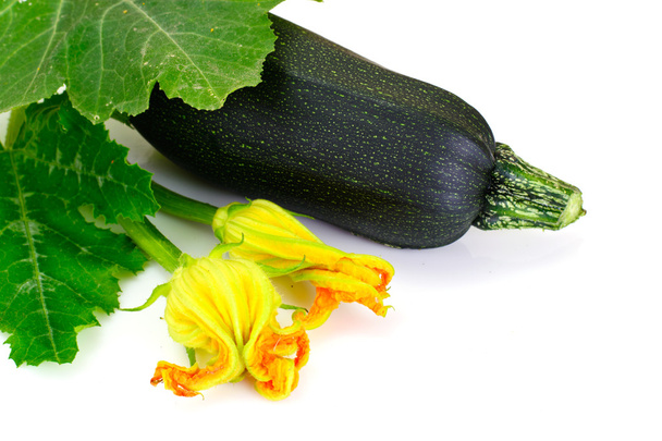 Zucchine verdi fresche con foglie e fiori
 - Foto, immagini