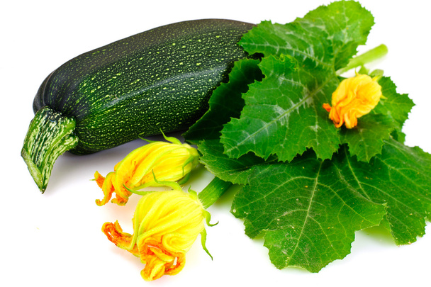 Zucchine verdi fresche con foglie e fiori
 - Foto, immagini