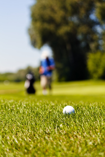 поле для гольфа с игроками, обратите внимание на неглубокую глубину поля
 - Фото, изображение