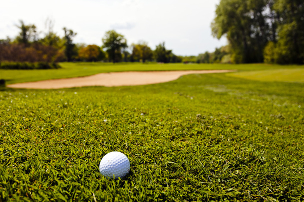 Golf topu çim, Not alan sığ derinliği - Fotoğraf, Görsel