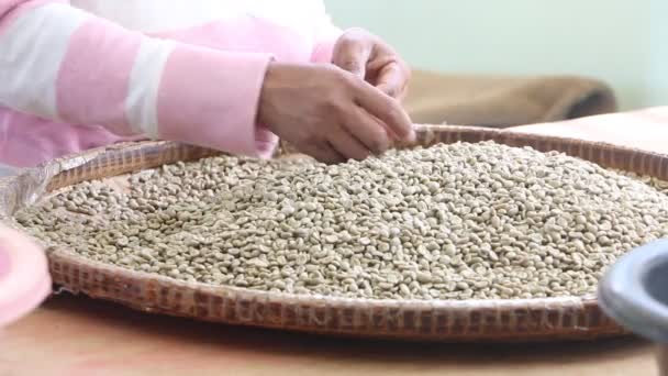 Trabajadores revisando la calidad de los granos de café
 - Imágenes, Vídeo