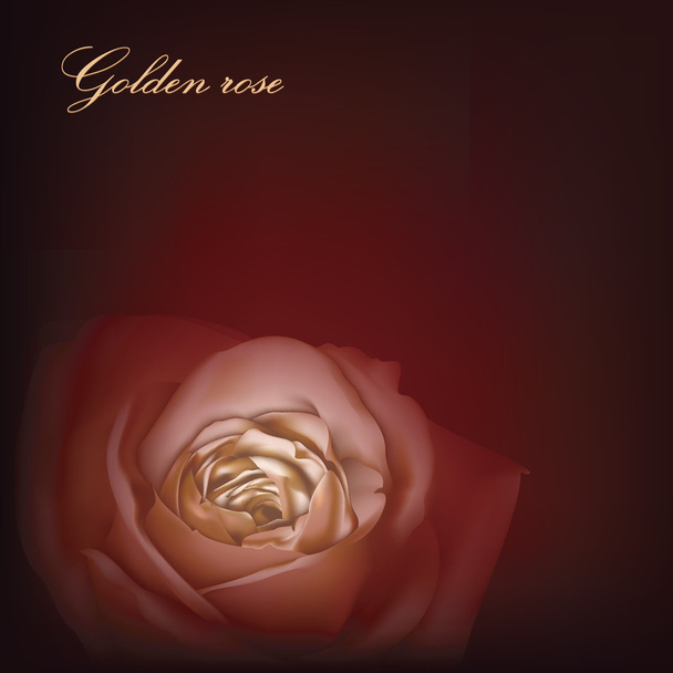 Grußkarte mit goldener Rose  - Vektor, Bild
