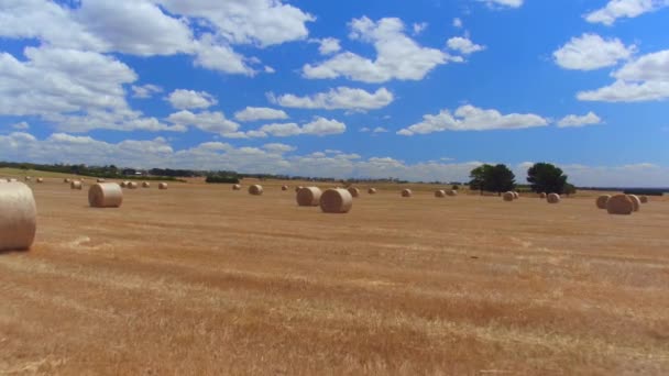 CHIUDI: Volando sopra un bellissimo campo dorato di erba falciata e balle di fieno
 - Filmati, video