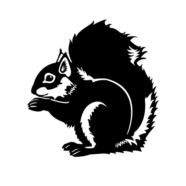 Squirrel black and white - Vector, Image