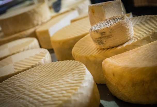 Large chunks of goat cheese - Foto, immagini