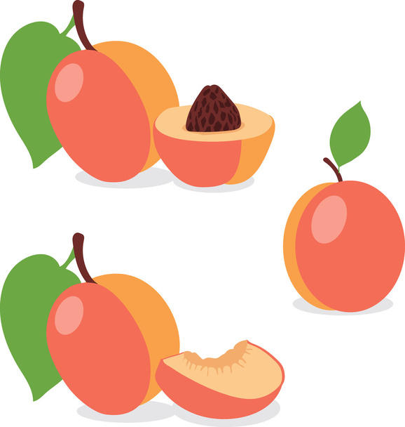 Peach. Set peaches, pieces and slices - Vector, Imagen