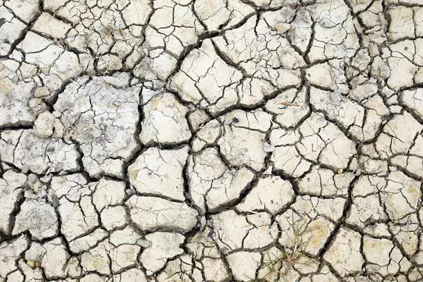 Сухая почва
 - Фото, изображение