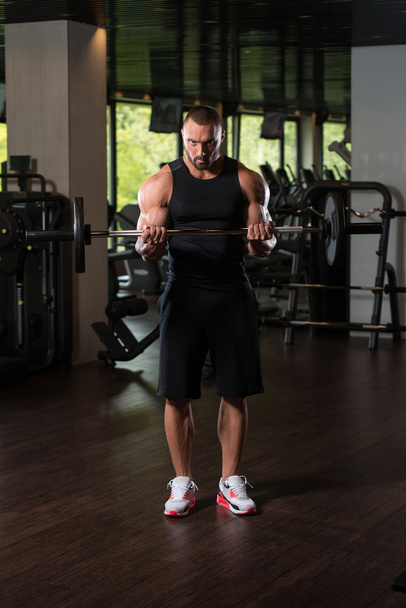 Bodybuilder Exercise Biceps With Barbell - Foto, Imagem