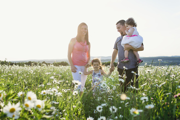 happy joyful fsther mother with daughters daisy field - Zdjęcie, obraz