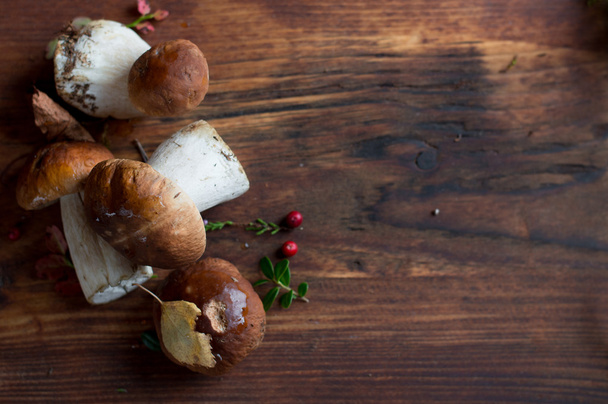 Mushroom boletus on wooden background - Foto, imagen