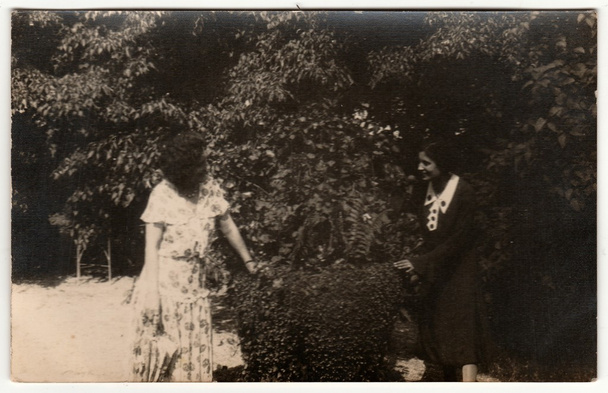 Ein historisches Foto zeigt junge Frauen im Park. Retro Schwarz-Weiß-Fotografie. - Foto, Bild