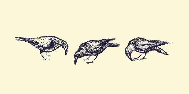 Hand drawn city birds - Διάνυσμα, εικόνα