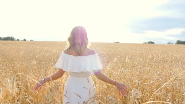 Beautiful young woman in white dress on wheat field - Filmati, video