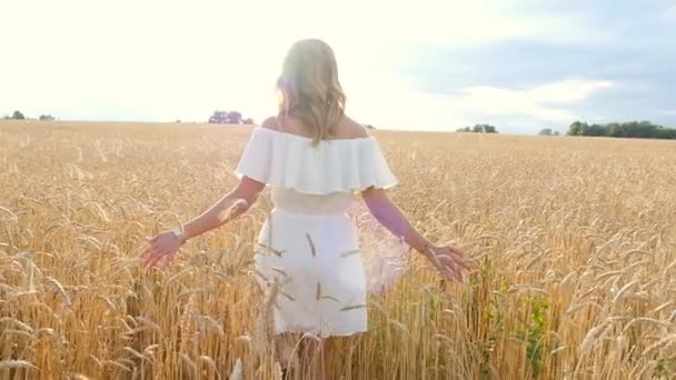 Όμορφη νεαρή γυναίκα σε λευκό φόρεμα με πεδίο σιτάρι - Πλάνα, βίντεο