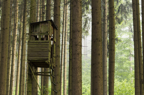Vadászat vagy Madarászat torony az erdőben - Fotó, kép