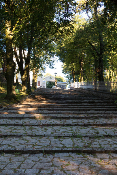 Stenen trap leidt naar de basiliek van Sint-Anna op Mount St. een - Foto, afbeelding