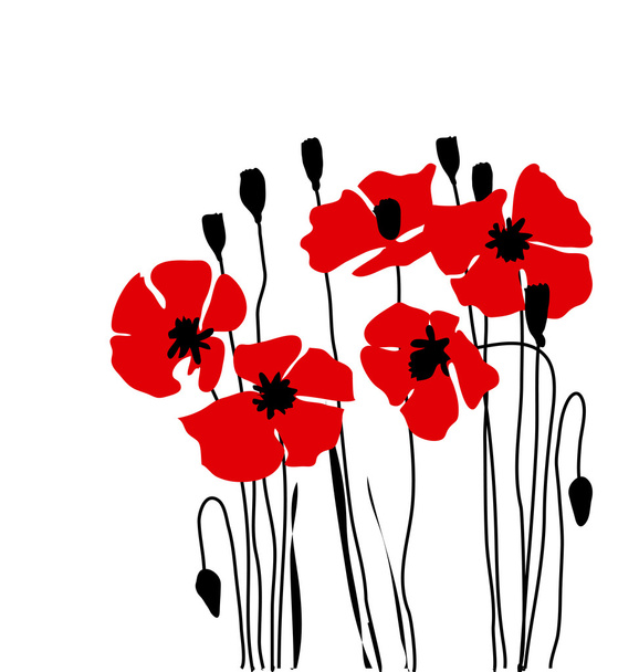 klaproos Floral vector illustratie - Vector, afbeelding