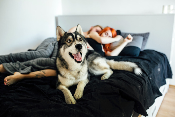 妊娠中の女性、男とベッドの上に横たわる犬 - 写真・画像