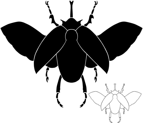 Exotic beetle silhouette - Vettoriali, immagini