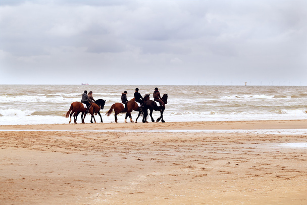 wenige Pferde am Strand - Foto, Bild