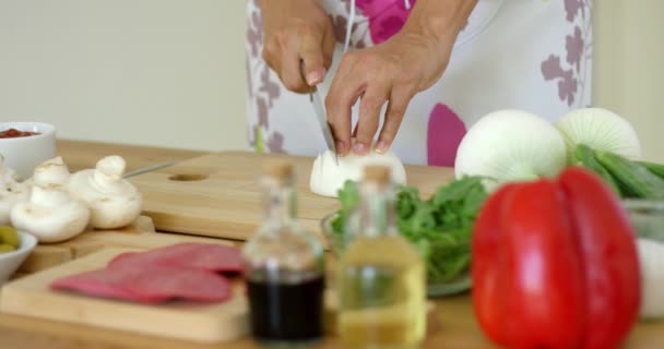 Close up on hands Cutting fresh onion - Materiaali, video