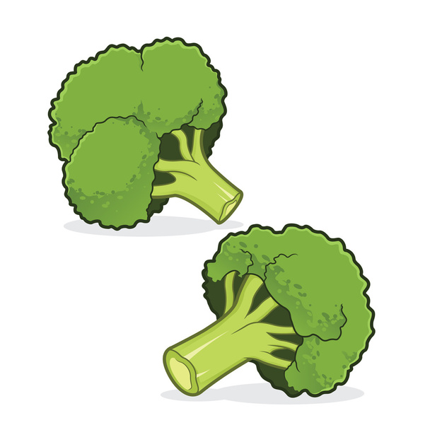frische Brokkoli-Illustration - Vektor, Bild