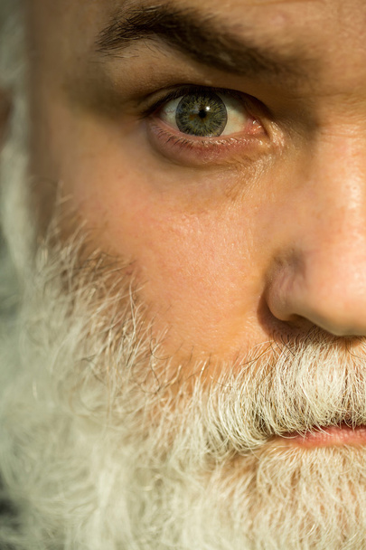 setious bearded man - Photo, Image
