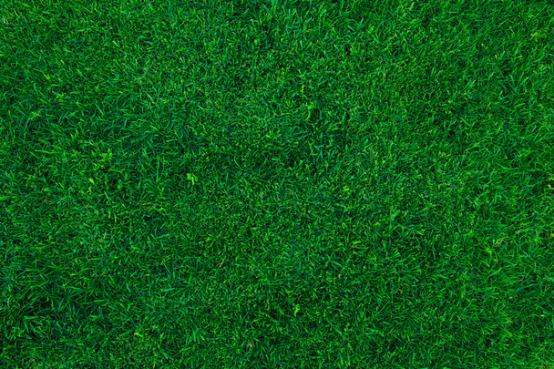 Zöld fű háttér - Fotó, kép