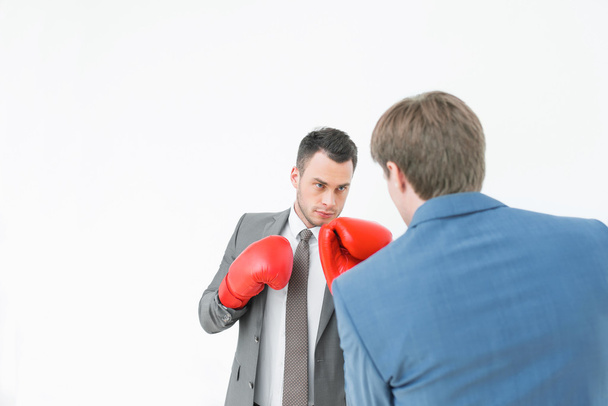Businessmen in boxing gloves - Photo, Image