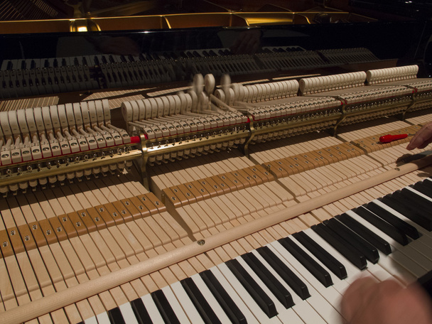 adam bir piyano tunes - Fotoğraf, Görsel