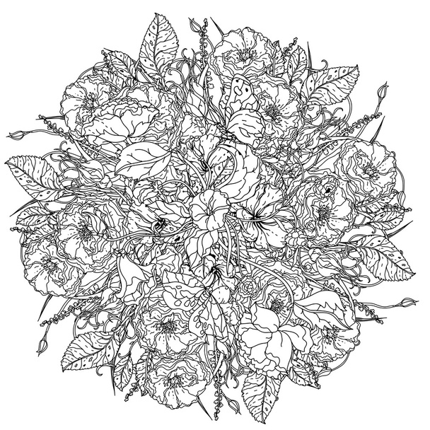 hand drawn wild roses set - Vector, Imagen