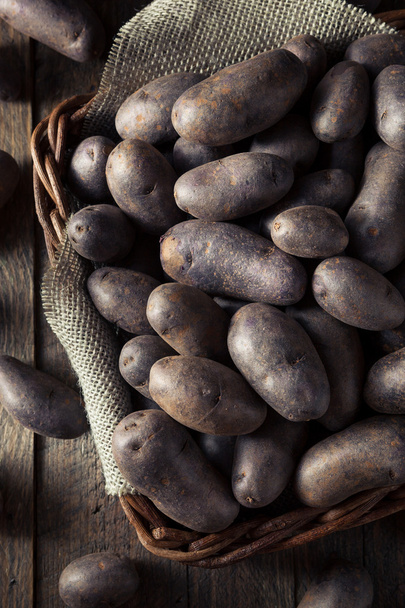 Raw Organic Purple Potatoes - Foto, Imagen