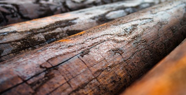 Horizontal vivid orange Norwegian wood macro closeup bokeh backg - Foto, imagen