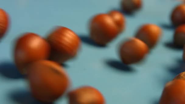 Hazelnuts on a blue background. 2 Shots. Slow motion. Vertical pan. Close-up. - Footage, Video