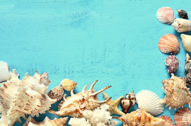 Seashells su uno sfondo di legno blu
. - Foto, immagini