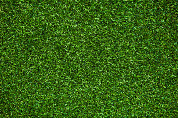 zöld fű pázsit - Fotó, kép