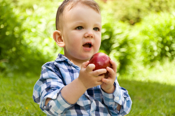little boy eating red apple - Foto, immagini