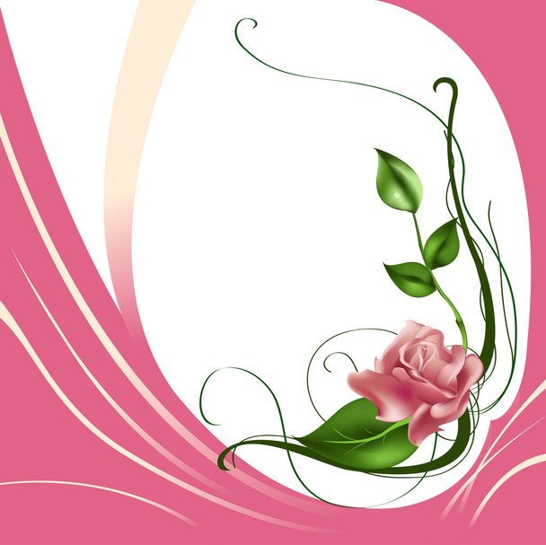 beautiful rose - Vector, afbeelding