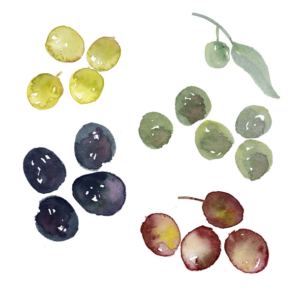 assorted olives set illustration. watercolor artwork. different  - Photo, Image