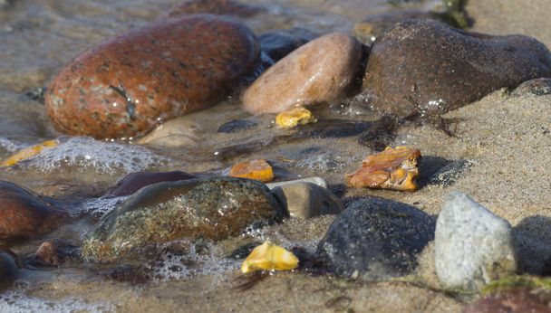 Alcuni pezzi di ambra trovati sulla riva del Mar Baltico
 - Foto, immagini