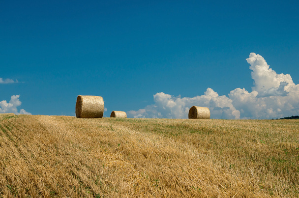 Levels with bales. - Photo, Image
